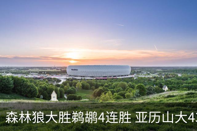 森林狼大胜鹈鹕4连胜 亚历山大43分雷霆克骑士