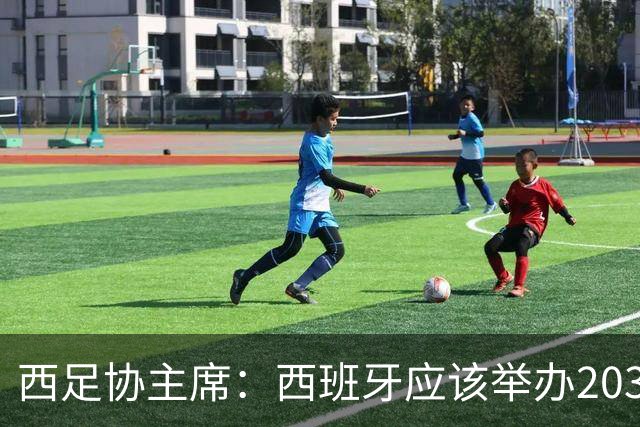 西足协主席：西班牙应该举办2030世界杯决赛，我们各方面条件最优